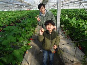 春の陽気の中、いちご狩りを楽しむ社員たち