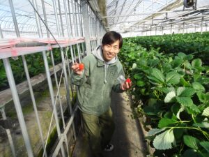 いちご狩りを楽しむ社員
